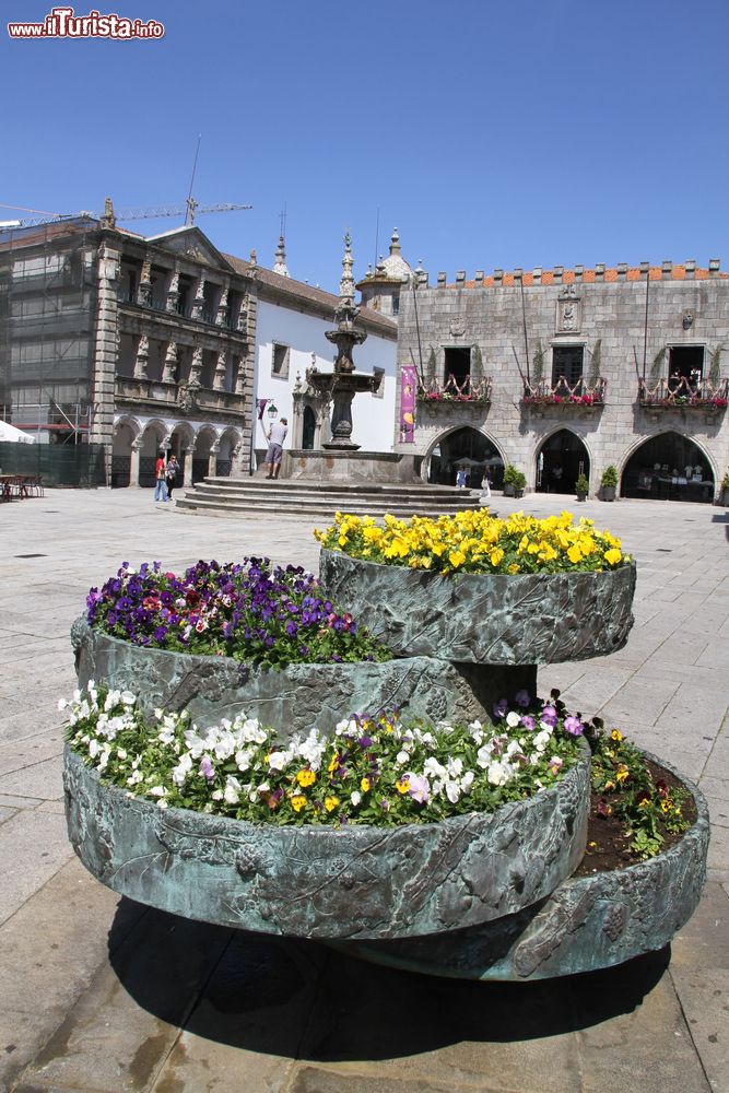 Immagine Fioriere con primule colorate in Praca da Republica a Viana do Castelo, Portogallo.