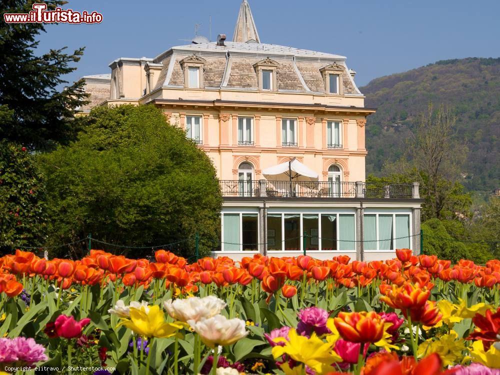 Immagine La Fioritura dei Tulipani a Villa Taranto, Verbania (Piemonte) - © elitravo / Shutterstock.com
