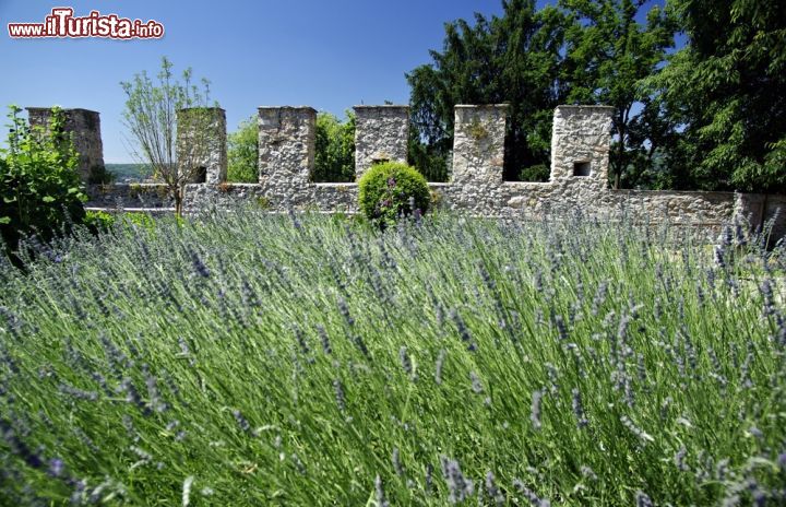 Immagine Fioritura di lavanda al Castello di Angera sul Lago Maggiore - © ART-visual, Rosa Amato / Shutterstock.com