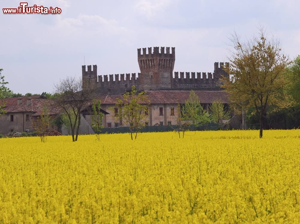 Immagine Fioritura estiva e Castello di Malpaga a Cavernago