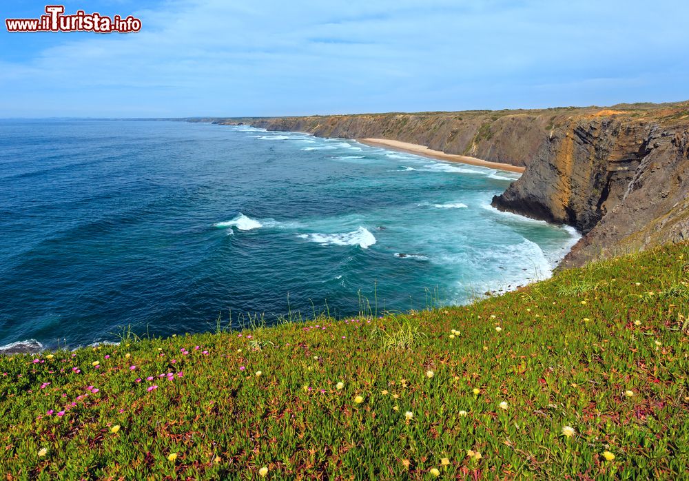 Immagine Fioritura estiva sulla costa dell'oceano Atlantico a Aljezur, Algarve, Portogallo. Un bel panorama di capo Ponta da Arrifana nelle vicinanze di Aljezur.