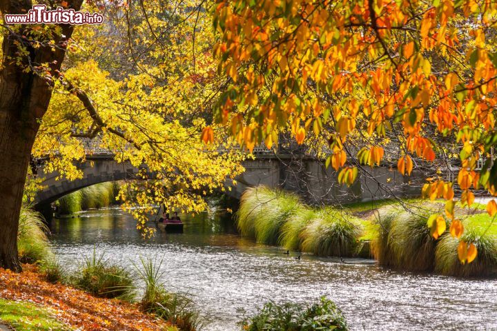 Immagine Il foliage autunnale degli alberi, con tonalità dall'arancio al rosso, si rispecchia nelle acque del fiume Heathcote a Christchurch in Nuova Zelanda  - © ian woolcock / Shutterstock.com