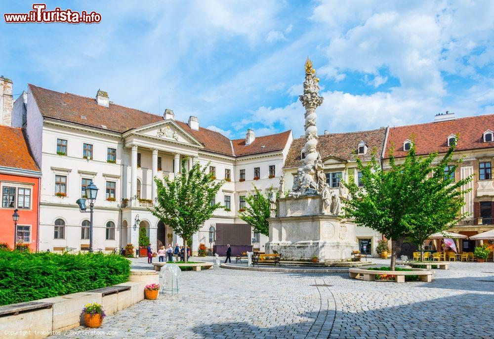 Le foto di cosa vedere e visitare a Sopron