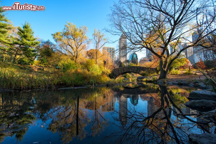 Immagine Foliage a New York City nel cuore di Central Park, il polmone verde della Grande Mela