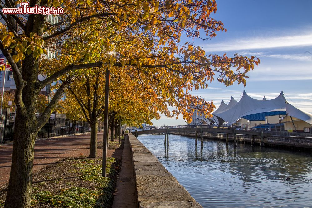 Immagine Foliage autunnale a Baltimora all'Inner Harbor, Stati Uniti d'America.