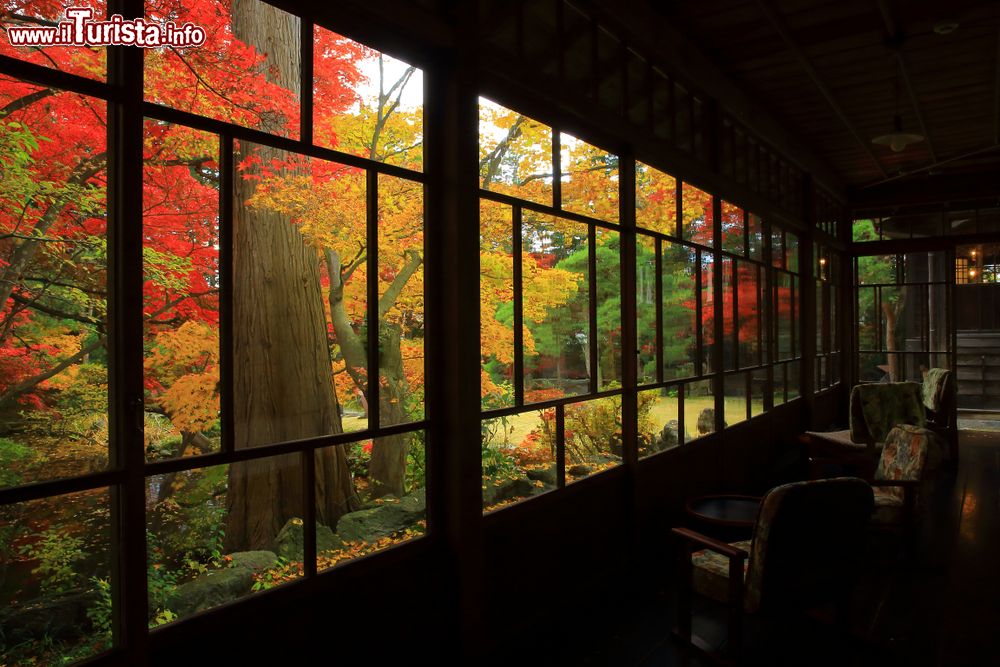 Immagine Foliage autunnale a Nanchang, Cina: la pittoresca veduta degli alberi attorno a un albergo della città.