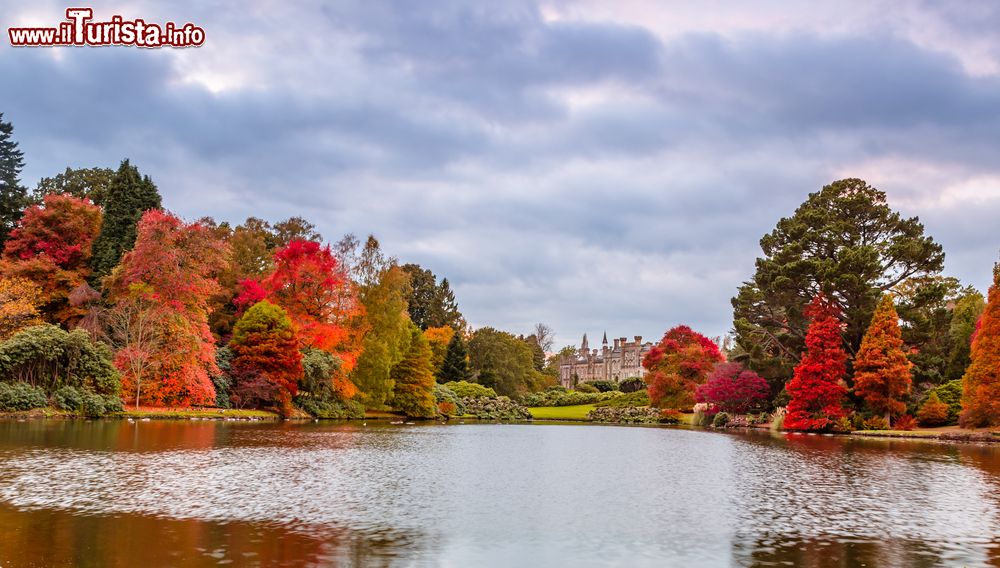 Immagine Foliage autunnale per gli alberi che si rispecchiamo nel laghetto dello Sheffield Park Garden, Yorkshire, UK.