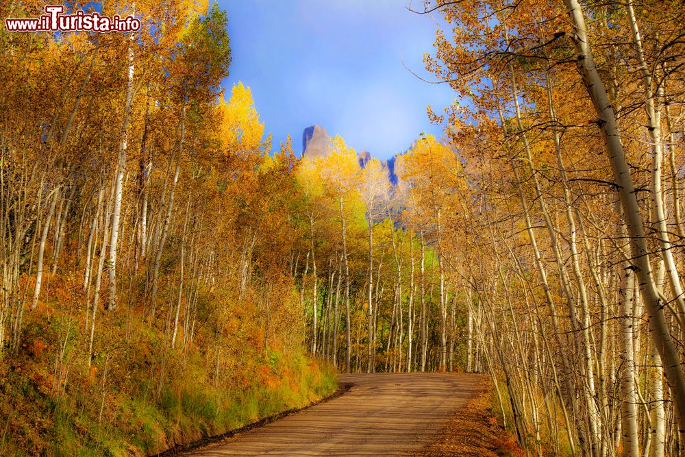 Immagine Foliage autunnale nei dintorni di Aspen, Colorado. Questa cittadina è una delle mete predilette dagli appassionati di trekking e passeggiate rigeneranti nella natura. In autunno le chiome degli alberi si tingono di rosso, arancio e oro.