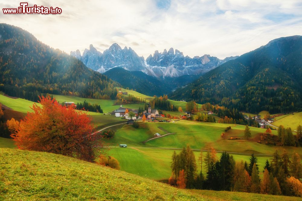 Immagine Foliage autunnale per il paese di Santa Maddalena, sud Tirolo, Italia. Sullo sfondo le Dolomiti.