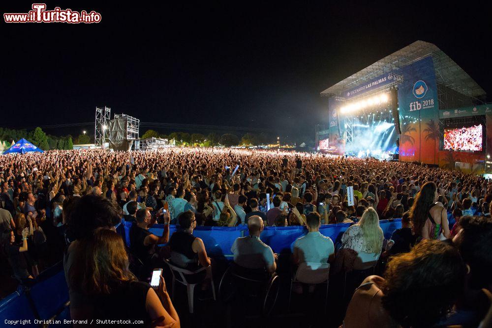 Immagine Folla ad un concerto by night al FIB Festival di Benicassim, Spagna - © Christian Bertrand / Shutterstock.com