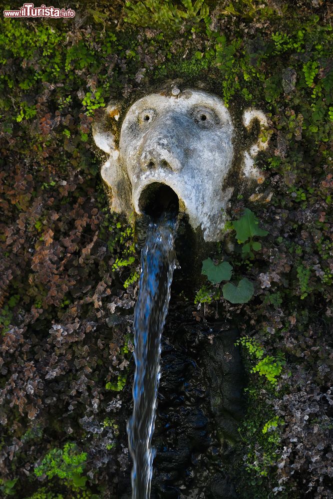 Immagine Fontana a forma di testa di scimmia a Villa d'Este, Tivoli, Lazio.