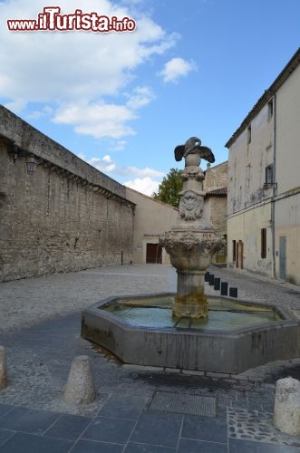 Immagine La cosiddetta Fontana del Cormorano a Pernes les Fontaines in Francia