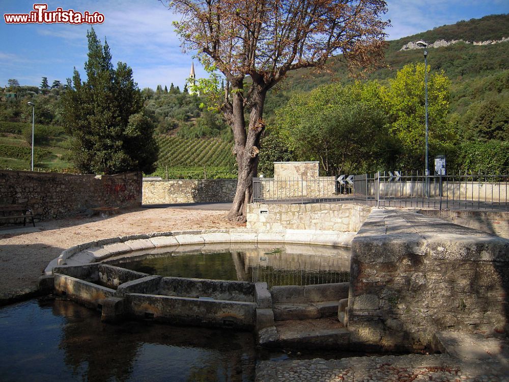 Immagine Fontana Fozze, un antico lavatoio paesano a Castegnero in Veneto - © Lorenz13F, CC BY-SA 4.0, Wikipedia