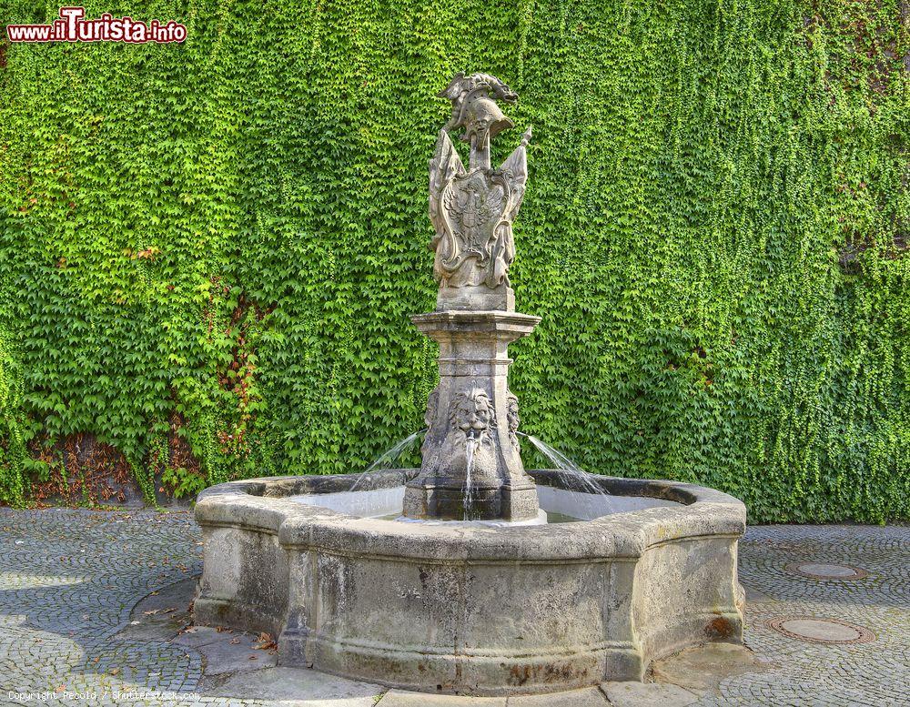 Immagine Fontana in pietra all'ingresso del Palazzo Nuovo di Bayreuth, Germania. La città è celebre per il suo festival annuale dedicato al compositore Richard Wagner - © Pecold / Shutterstock.com