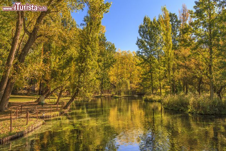 Immagine Il parco delle Fonti del Clitunno a Campello, in Umbria- © Orietta Gaspari / Shutterstock.com