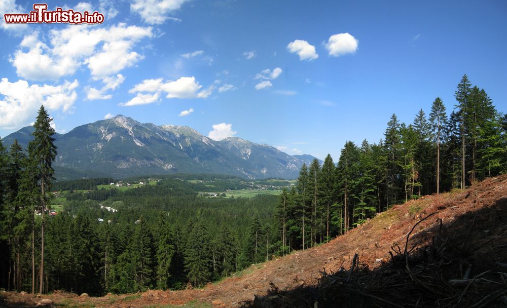Immagine Foreste di pini nei pressi del borgo di Hermagor, Carinzia, Austria.