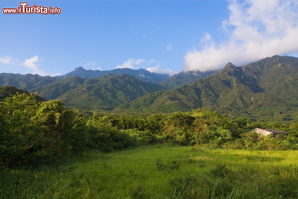 Immagine Foreste e montagne nel parco nazionale di Yakushima, Giappone. Per chi ama le vacanze immersi nella natura, questo luogo ha un'atmosfera magica.