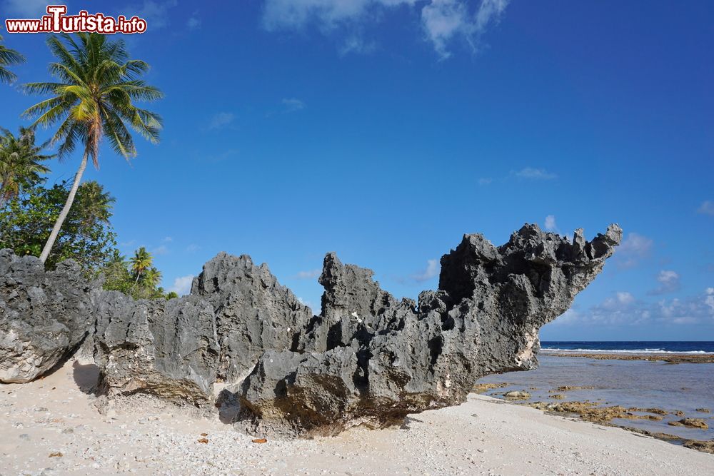 Immagine Formazione rocciosa su una spiaggia tropicale sull'atollo di Tikehau, arcipelago delle Tuamotu, Polinesia Francese.