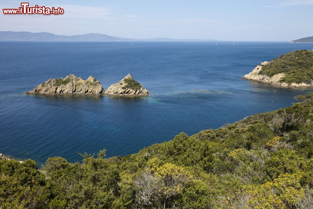 Immagine Formazioni rocciose al largo della costa di Port Cros, Francia. Le scogliere e la folta macchia mediterranea sono perfetto habitat per specie endemiche e uccelli rari.