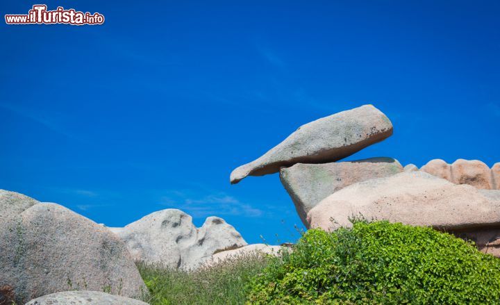 Immagine Formazioni rocciose bizzarre sulla Costa di Grantio Rosa di Ploumanac'h, Bretagna (Francia) 