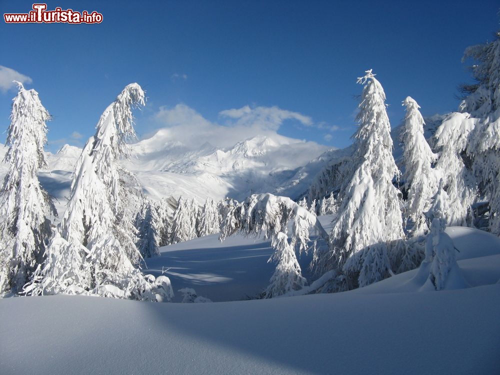 Immagine Forte nevicata nella zona di Madesimo in Lombardia