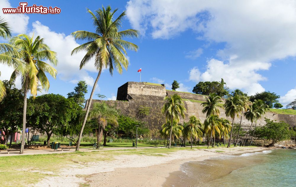 Immagine Forte Saint Louis e la spiaggia con le palme a Fort-de-France, isola di Martinica. Costruito come una fortezza reale durante la Guerra dei Sette Anni, è una delle principali attrazioni della cittadina.