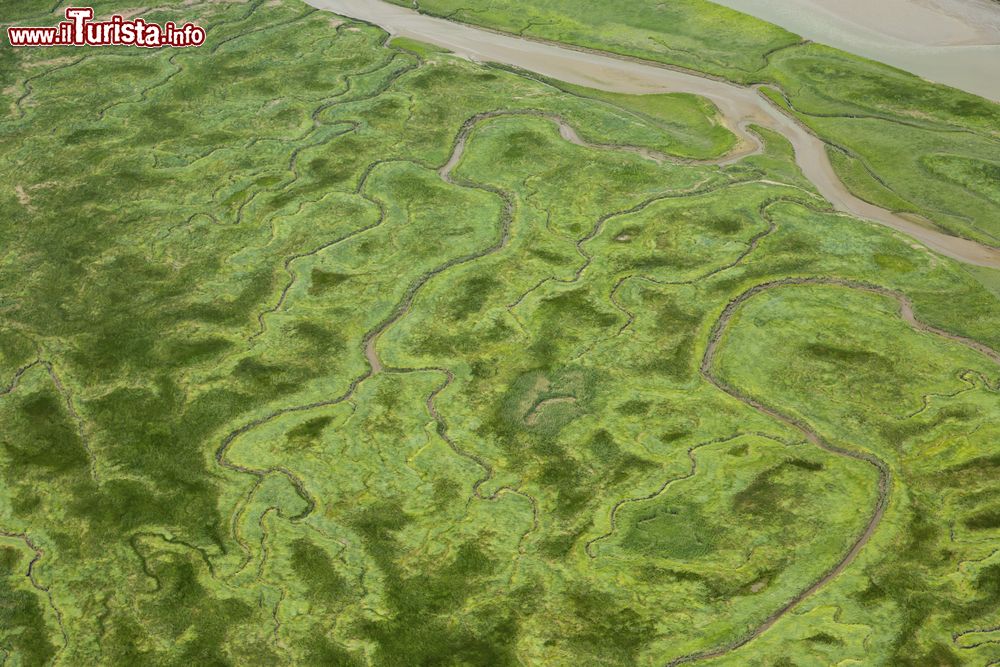 Immagine Fotografia aerea della riserva naturale Verdronken Land van Saeftinghe nel territorio della Zelanda, Paesi Bassi. Quest'area di trova al confine fra Olanda e Belgio: è una palude salata di 3580 ettari situata sulla riva sinistra dell'estuario del Westerschelde, il più grande bacino di acqua salmastra d'Europa.