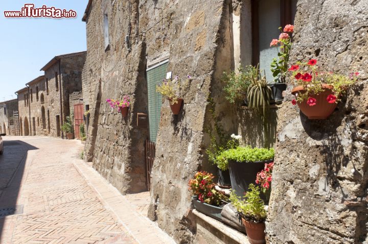 Immagine Fotografia del borgo medievale di Sovana, Toscana. Per andare alla scoperta delle bellezze di questo villaggio toscano è sufficiente passeggiare a piedi fra i suoi vicoli ricchi di interessanti scorci fotografici - © Claudio Giovanni Colombo / Shutterstock.com