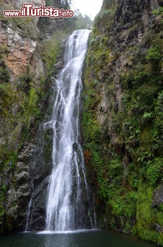 Immagine Lo spettacolo dell'acqua che precipita da 1.680 metri al Salto de Aguas Blancas a Costanza, in Repubblica Dominicana