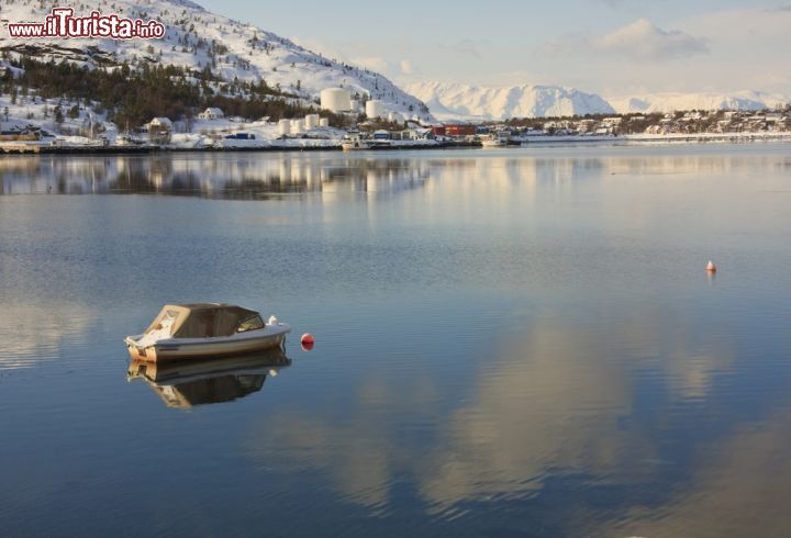 Immagine Scavati dal ghiaccio, dalla pietra e dalla roccia durante l'era glaciale, i fiordi sono un vero e proprio capolavoro della natura. Grazie ad un clima mite che ne impedisce il congelamento, i fiordi norvegesi sono popolati da foche, focene e varietà di pesci e solcati da aquile e altre specie di uccelli. Definita una delle migliori destinazioni incontaminate al mondo, la Norvegia dei fiordi è uno dei siti Patrimonio Unesco - © Sue Leonard Photography / Shutterstock.com