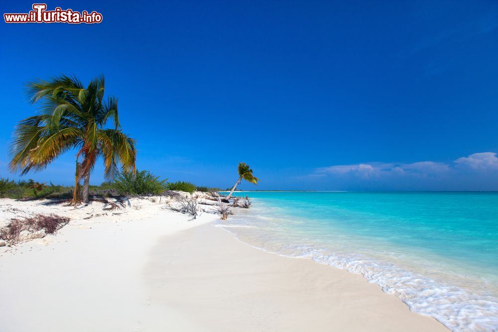 Immagine Fotografia panoramica della spiaggia bianca e del Mare dei Caraibi a Cayo Largo, Cuba. Un paesaggio naturale da cartolina.