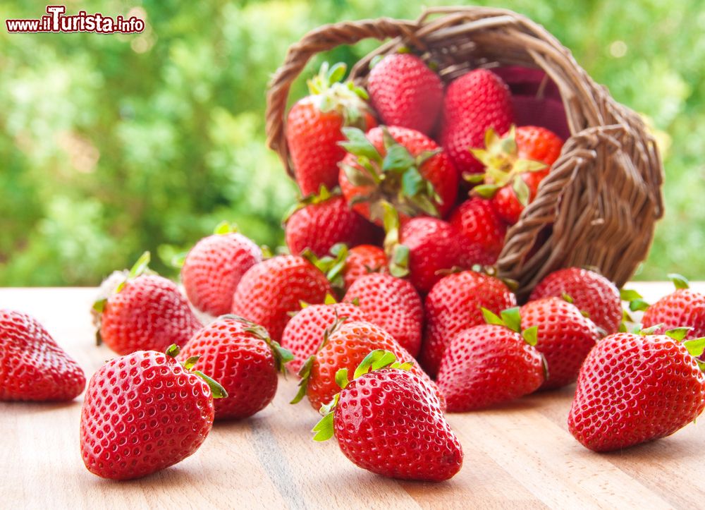 Sagra della Fragola Bertinoro