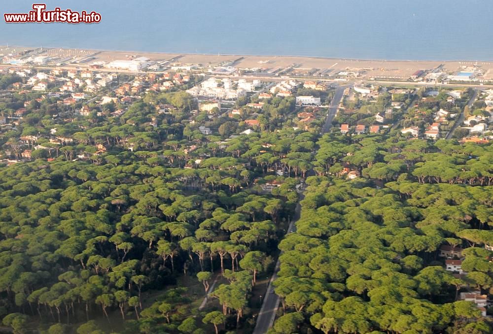 Immagine Fregene, la spiaggia sulla costa tirrenica e la pineta vicino alle foci del Tevere, a sud-ovest di Roma