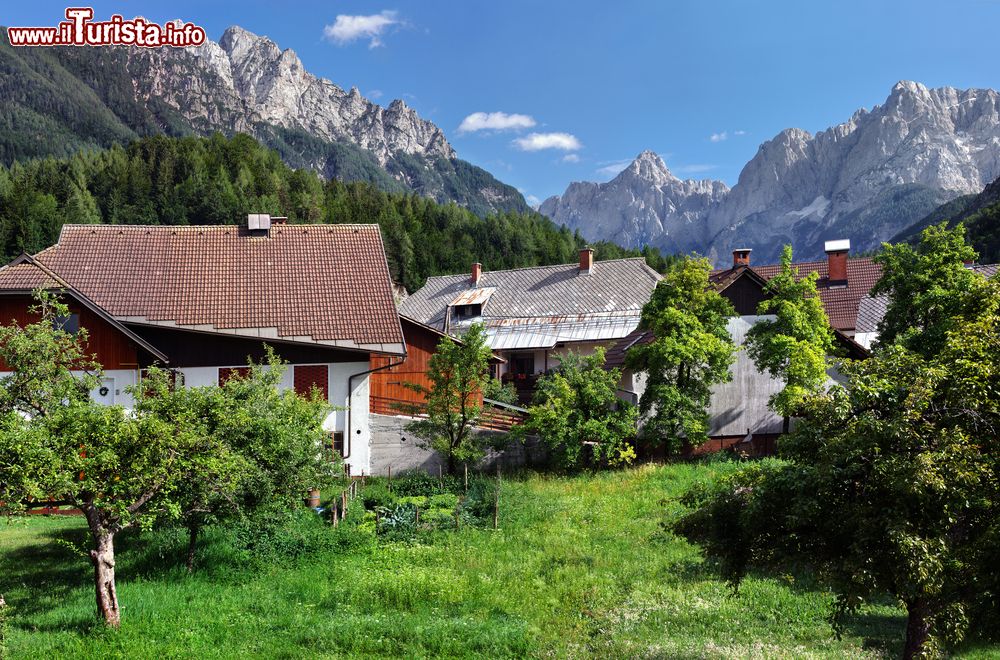 Immagine Frutteti nella campagna di Kranjska Gora con le vette del Prisank sullo sfondo in una giornata d'estate (Slovenia).