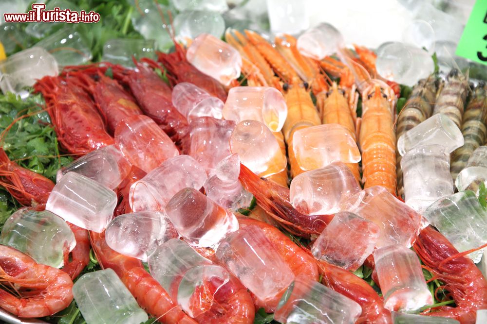 Immagine Frutti di mare freschi nel ghiaccio in una bancarella a Calpe, Spagna.