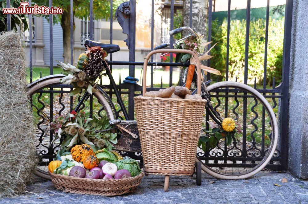 Immagine Fuori di zucca a Santa Maria Maggiore, la divertente festa autunnale della città del Piemonte - © Maurizio Besana