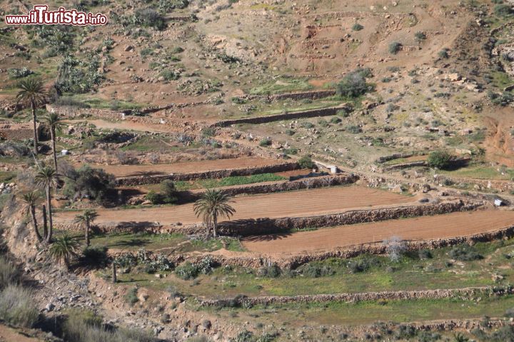 Immagine Le aree naturali e rupestri del parco di Betancuria, Pajara (Fuerteventura) - Questo spettacolo naturale e queste suggestioni di flora e fauna così tipiche e caratteristiche di Betancuria, esistono grazie ad un ecosistema particolare e vanta, per questo motivo, un interesse scientifico notevole, nonché archeologico e geografico. Come si vede dall'immagine nonostante il carattere primitivo della vegetazione, l'uomo ha saputo valorizzarne le bellezze, non andando a modificare la sua identità rupestre.