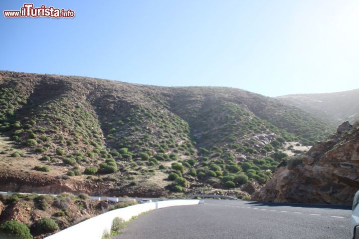 Immagine La natura vista dall'alto di Betancuria, Pajara, Fuerteventura - Nel tragitto stradale moltissimi turisti scelgono di fare una sosta per ammirare, attraverso i punti strategici, uno spettacolo naturale a dir poco sensazionale. Una vegetazione così ricca che, come si può vedere dall'immagine, quando è abbracciata dai tenui raggi del sole esplode in tutta la sua brillantezza.