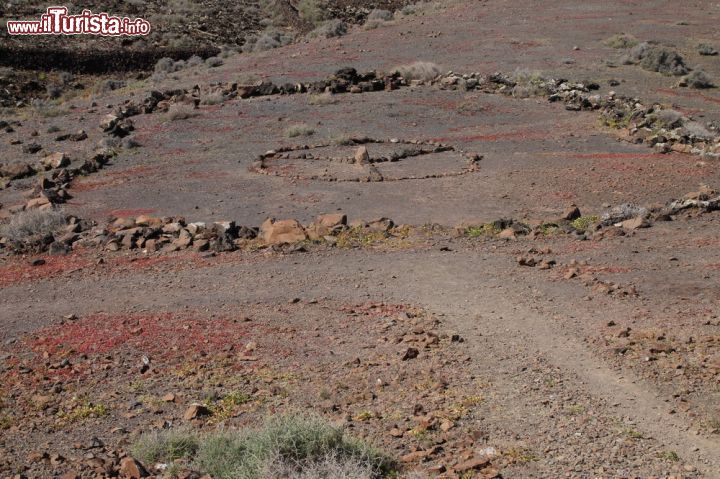 Immagine Patrimonio archeologico a Fuerteventura (Spagna) con il suo villaggio preistorico - Da quest'immagine si evince un momento di quotidianità del popolo tribale che dominò i villaggi siti vicino alle spiagge di Caleta de Fuste, ossia i Majoreri, coloro il cui merito è stato (anche) quello di averci portato una testimonianza storica così importante. Numerosi gli animali che si possono vedere in questa zona (falchi, scoiattoli, corvi) ma quello che colpisce è il terreno. Pianeggiante, questo è calpestato da moltissimi turisti appassionati di archeologia e tradizione.