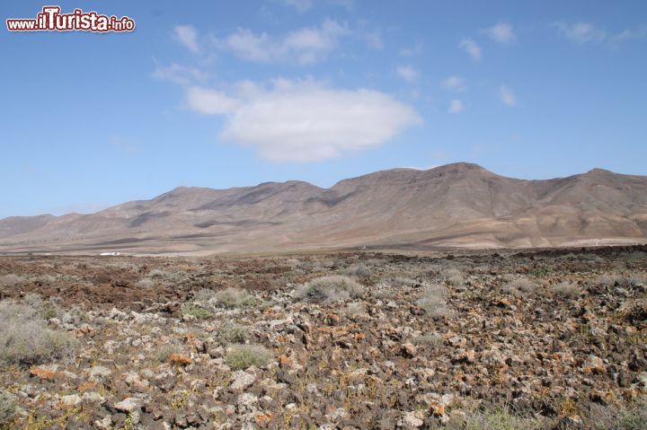 Immagine Veduta del villaggio preistorico a Fuerteventura, Spagna - Potrebbe sembrare per certi versi un deserto messicano, invece si trova a soli pochi km dal centro delle maggiori località delle Canarie, in corrispondenza di Caleta de Fuste, accanto alla baia di Pozo Negro. Qui tutto si respira con un clima antico, lo stesso che richiama ai majoreri, popolo di origine berbera che insediò questi posti di cui oggi abbiamo testimonianza.