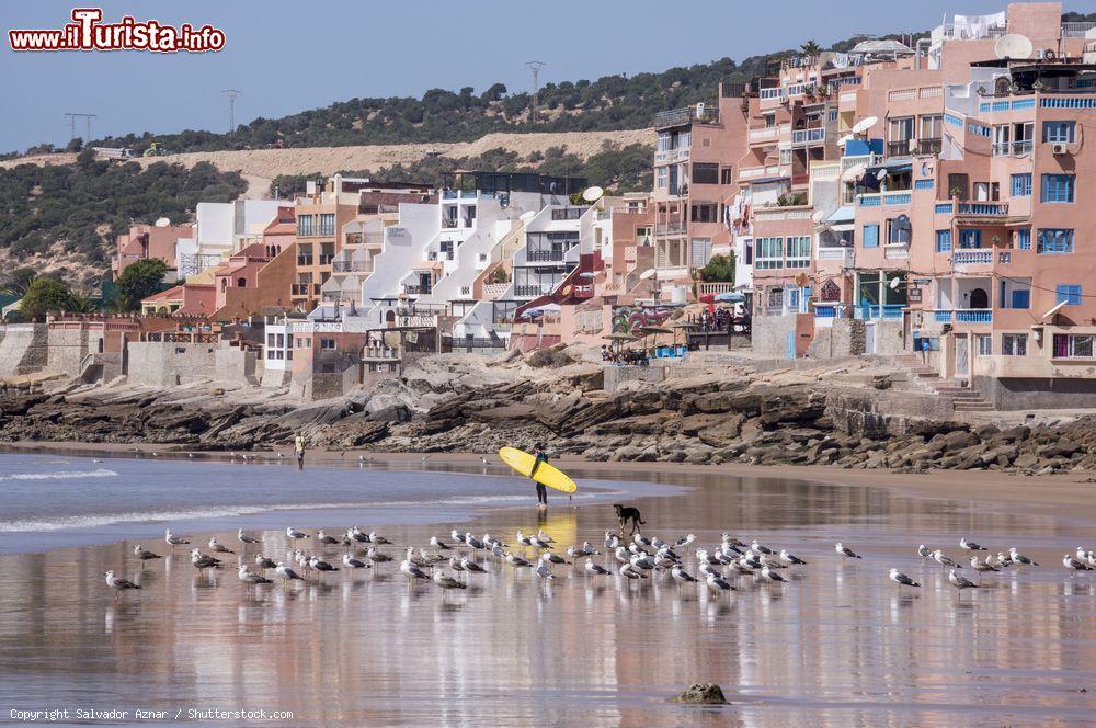 Immagine Gabbiani e un surfista sulla spiaggia di Taghazout, Marocco. Sullo sfondo, le tipiche case di questo grazioso villaggoi di pescatori che grazie al surf ha visto rilanciare la propria economia - © Salvador Aznar / Shutterstock.com