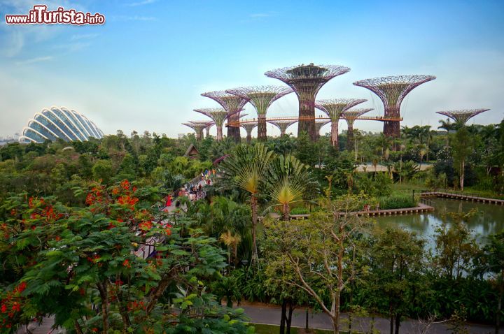 Immagine Gardens by the Bay a Singapore: i suggestivi Supertrees Grove, i futuristici alberi in cemento forato e acciaio che dominano la skyline cittadina - © reezuan / Shutterstock.com