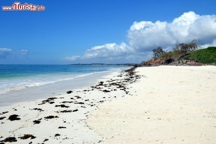 Immagine Garoda Beach, Watamu (Kenya): la splendida spiaggia incontaminata del Garoda Beach Resort, pochi km a sud del centro di Watamu.