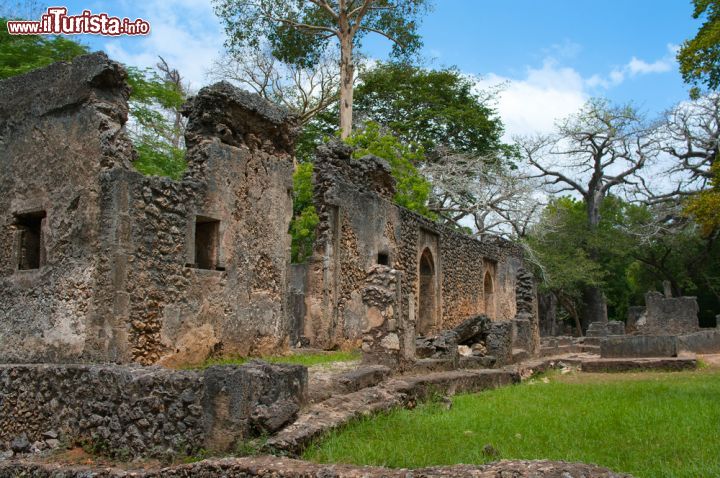 Immagine Gede fu un'antica città swahili che ebbe il suo apogeo attorno al Cinquecento, per poi essere abbandonata nel Settecento. Si trova nei pressi di Malindi, Kenya - foto © Byelikova Oksana / Shutterstock.com