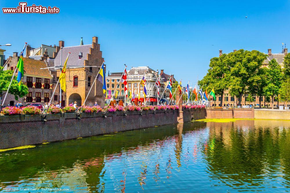 Immagine Gente a passeggio in piazza Buitenhof a Den Haag, Olanda, in una giornata di primavera - © trabantos / Shutterstock.com