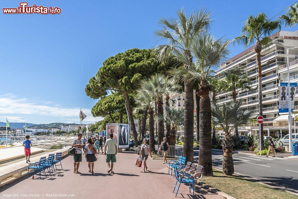 Immagine Gente a spasso sulla passeggiata della celebre Croisette di Cannes, Francia. La Promenade si sviluppa per 2 chilometri ed è affiancata da una spiaggia sabbiosa da un lato e da boutique e hotel di lusso dall'altro - © Kiev.Victor / Shutterstock.com