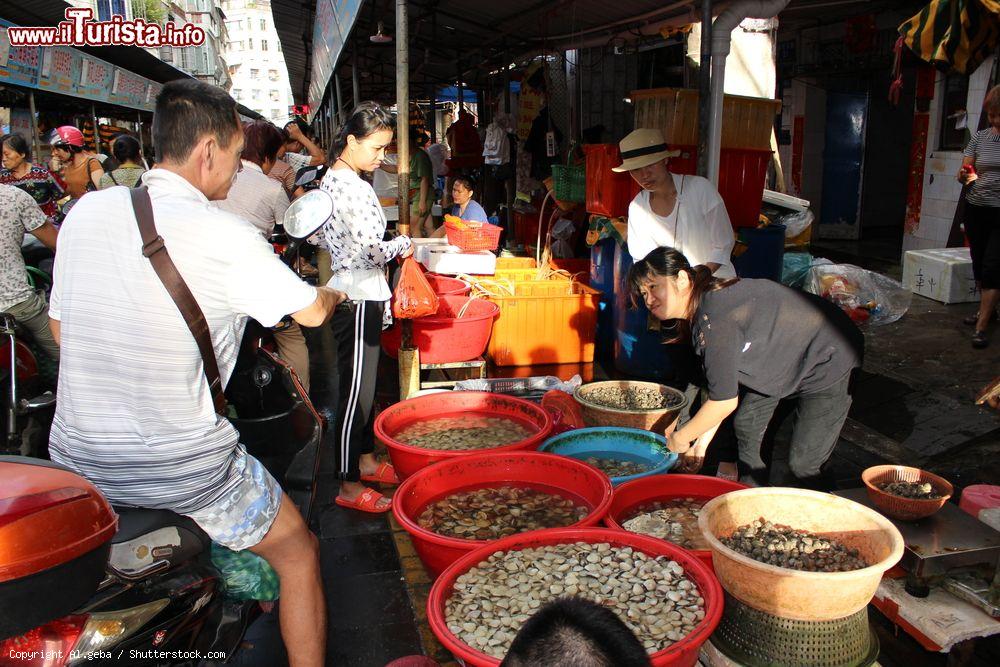 Immagine Gente al mercato serale di Haikou, Cina. Fra le bancarelle del mercato locale si possono trovare molte varietà di pesce, da quello fresco a quello essiccato - © Al.geba / Shutterstock.com