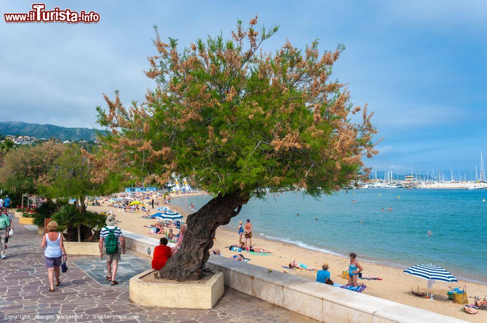 Immagine Gente in relax sulla spiaggia di Le Lavandou, Var, in una giornata estiva (Francia) - © Juergen Wackenhut / Shutterstock.com