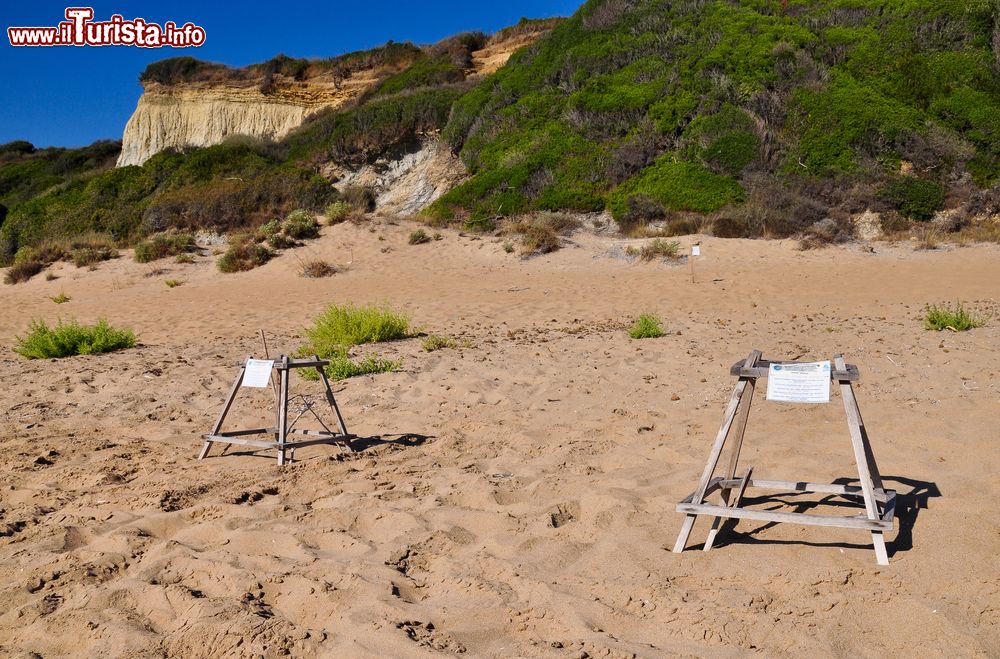 Immagine Gerakas la spiaggia delle tartarughe: le zone dove vengono deposte le uova dalle tartarughe Carretta-Carretta vengono evidenziate e protette. Siamo sull'isola di Zante, Isole Ioniche della Grecia