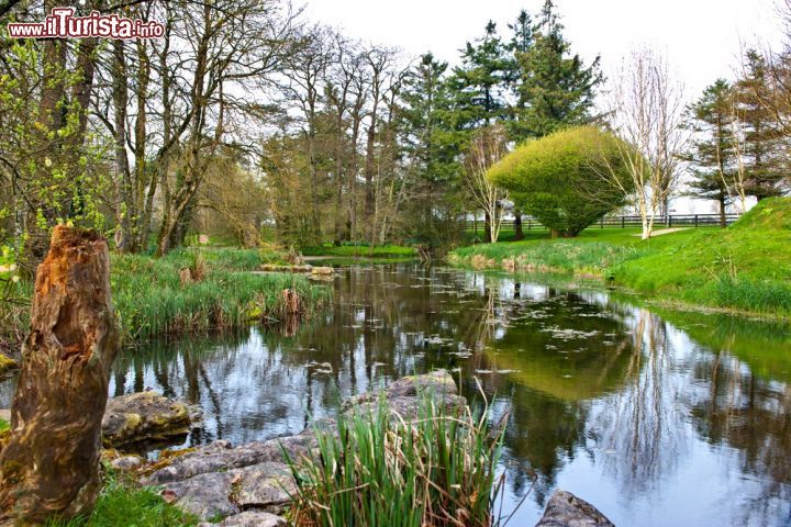 Immagine I giardini Giapponesi di Kildare in Irlanda - © Misa Maric / Shutterstock.com